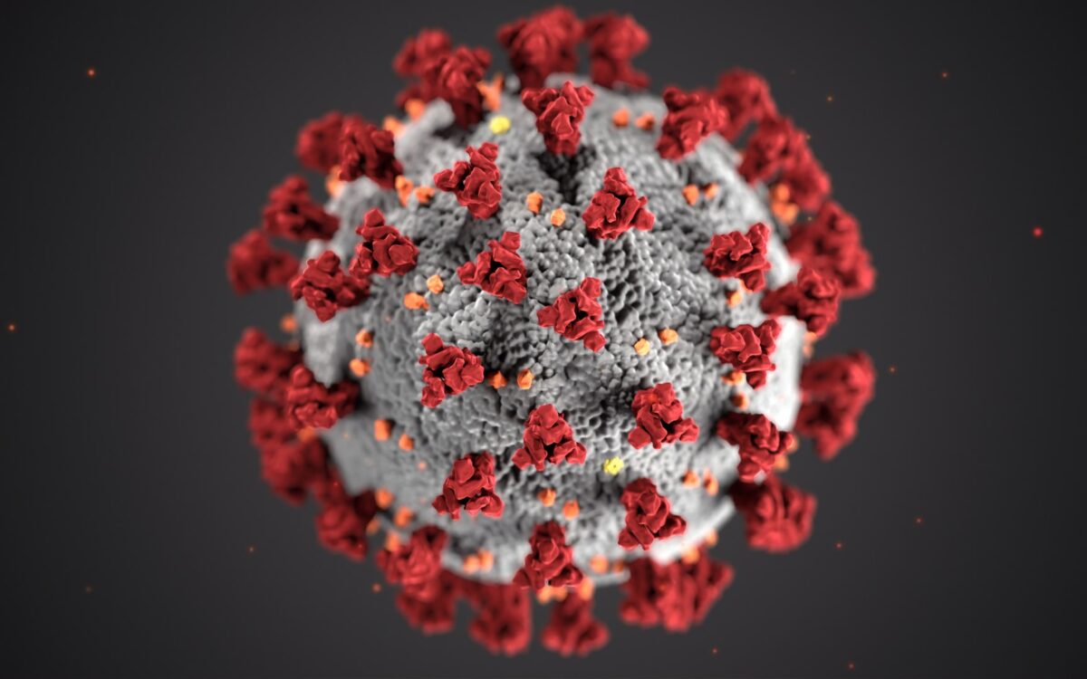 Wizualizacja morfologii koronawirusa sporządzona przez CDC